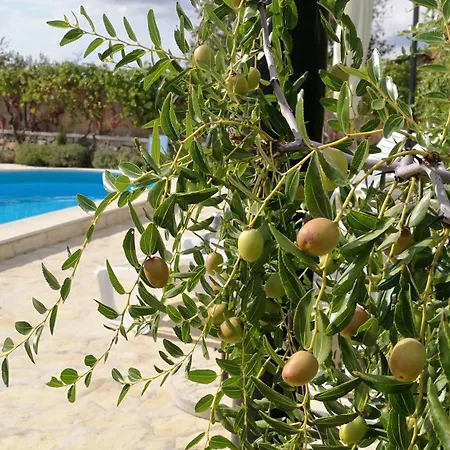 Lägenhet House Pod Suncem *