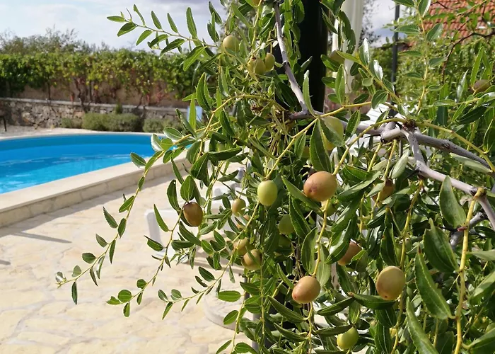 Lejlighed House Pod Suncem *