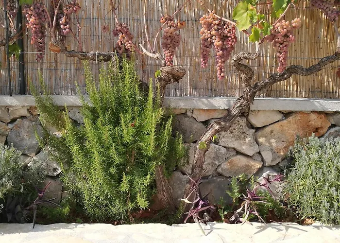 House Pod Suncem Lägenhet